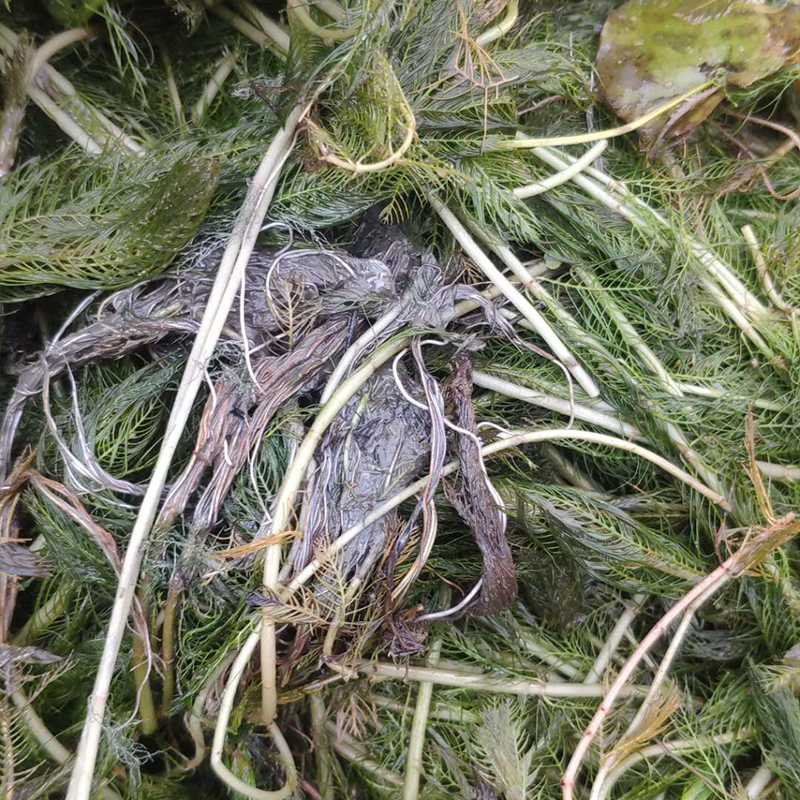 Summer beach concept