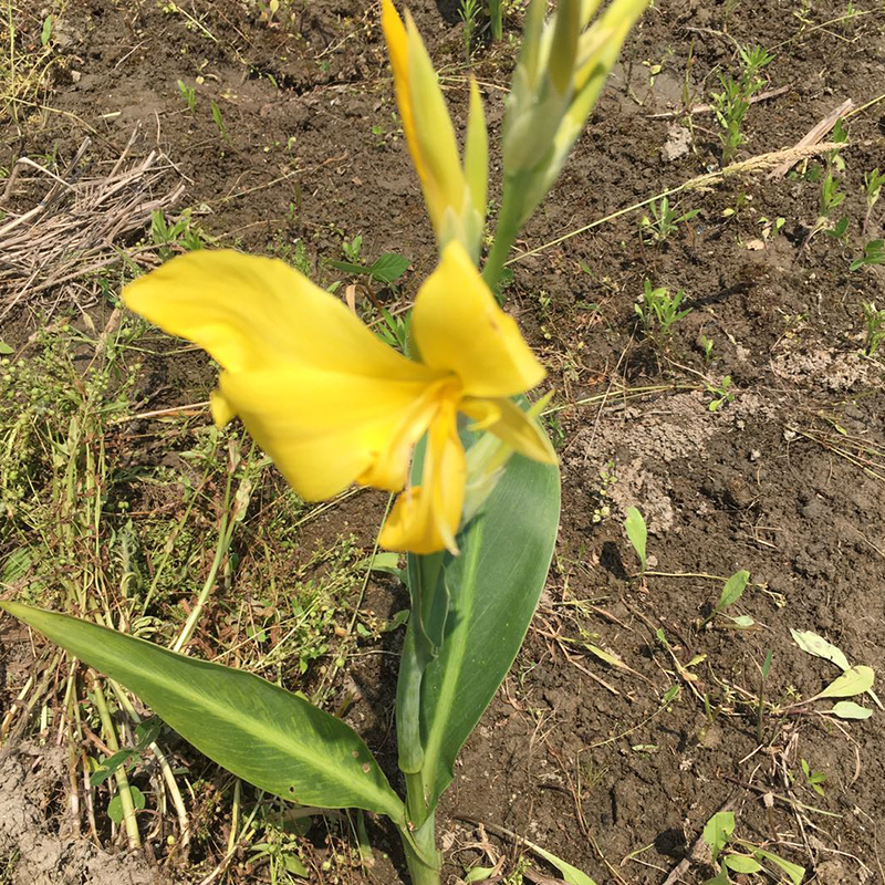 Summer beach concept