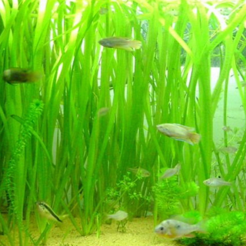 Summer beach concept