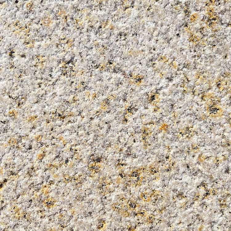 Summer beach concept