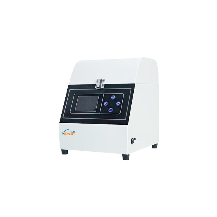 Summer beach concept