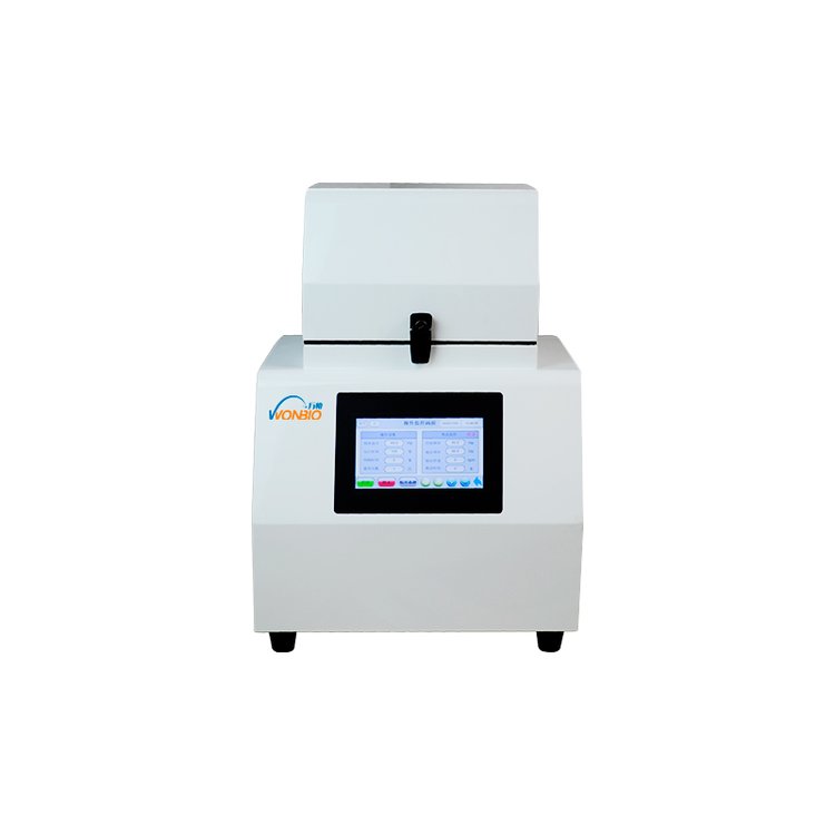 Summer beach concept