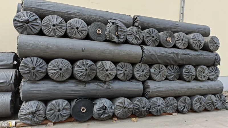 Summer beach concept