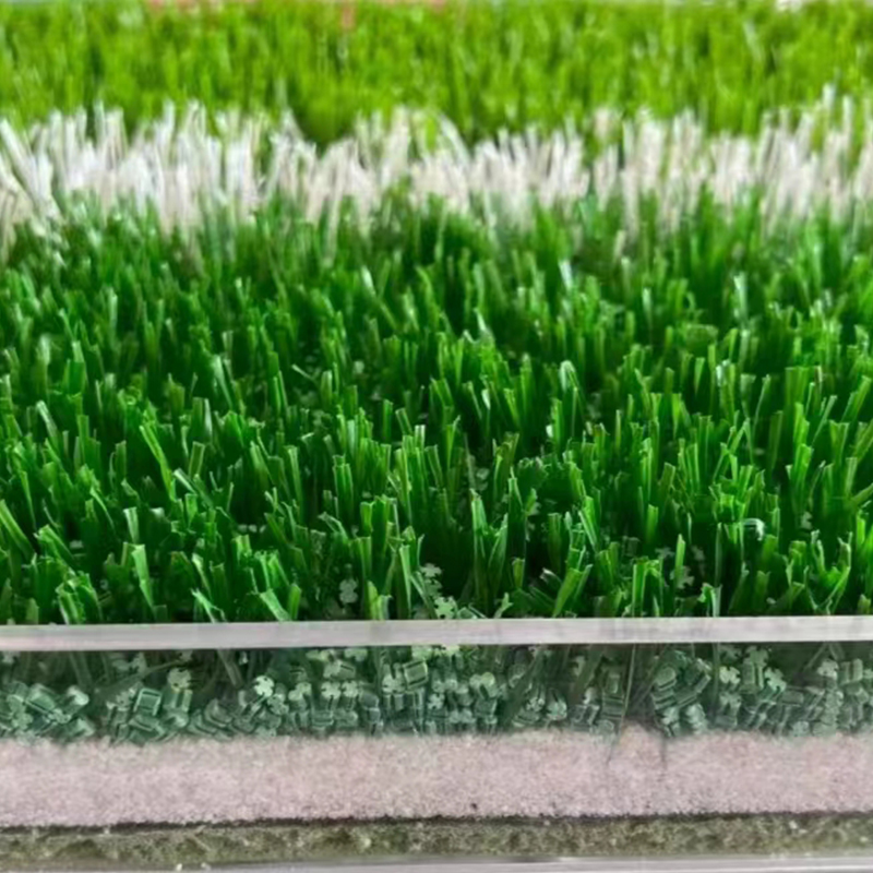 Summer beach concept