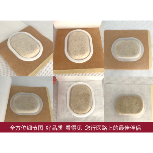 沙蒿子透皮贴
