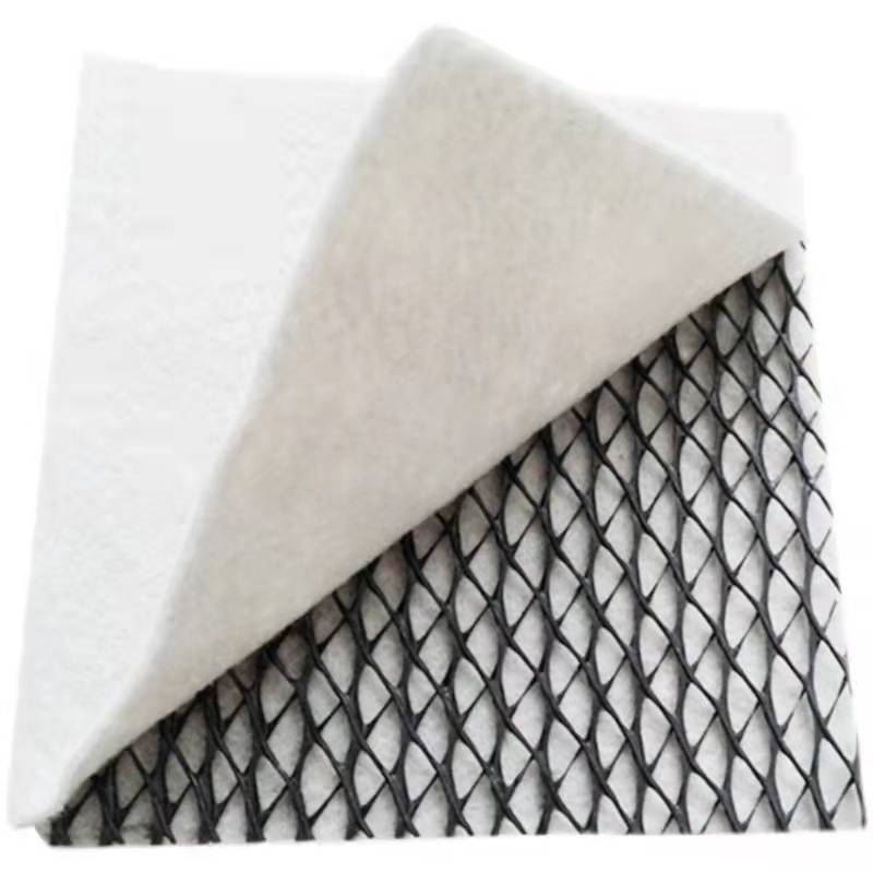 Summer beach concept