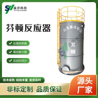 芬顿反应器 芬顿塔 芬顿氧化塔