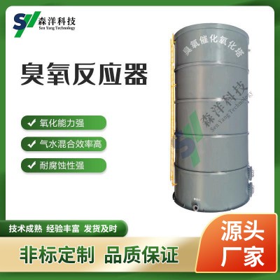 臭氧催化氧化塔 臭氧反应器