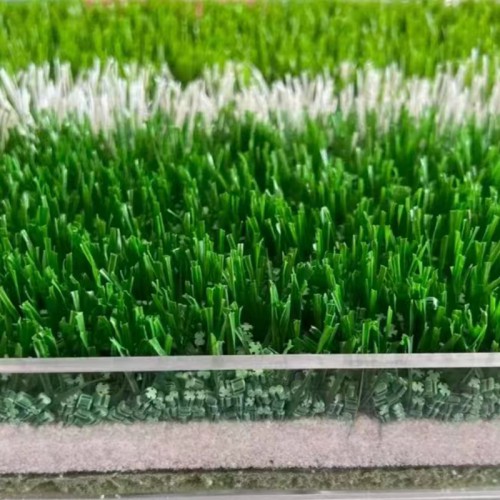 Summer beach concept