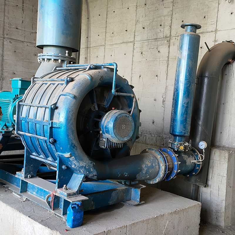 Summer beach concept