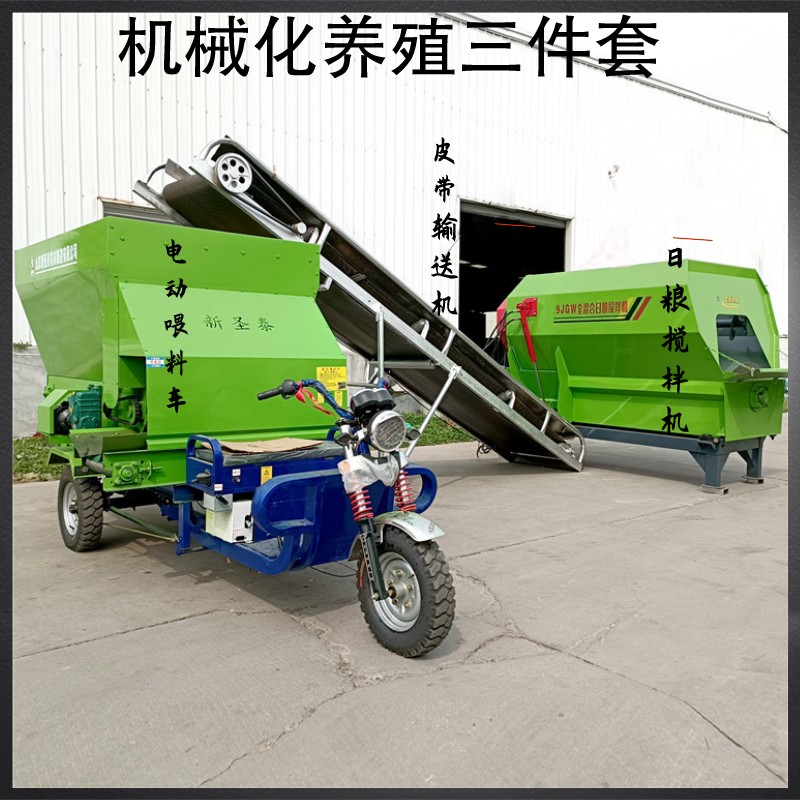 Summer beach concept