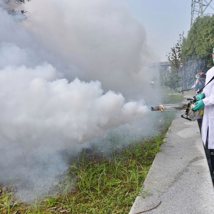 Summer beach concept