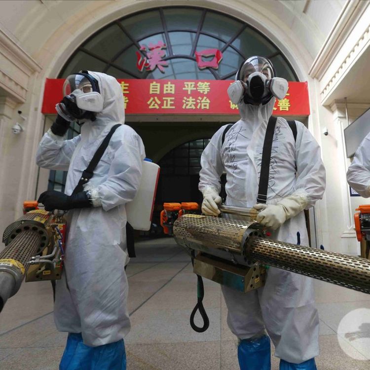 Summer beach concept