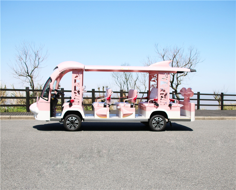 卡通海豚观光车价格