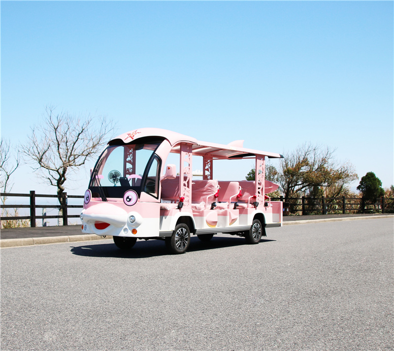 卡通海豚观光车