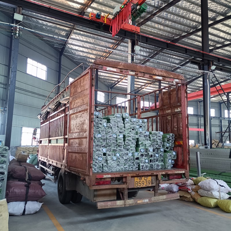 Summer beach concept