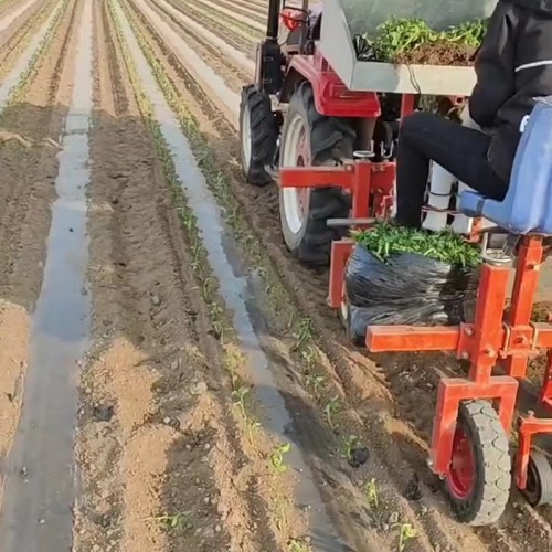 辣椒移栽机