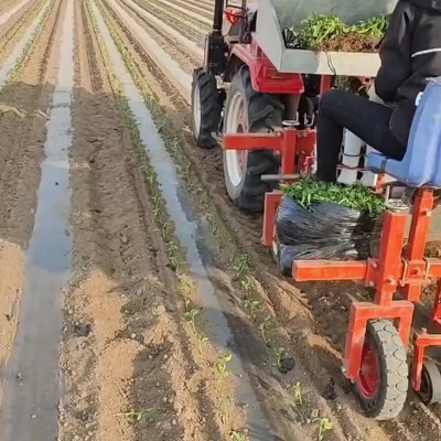 辣椒移栽机