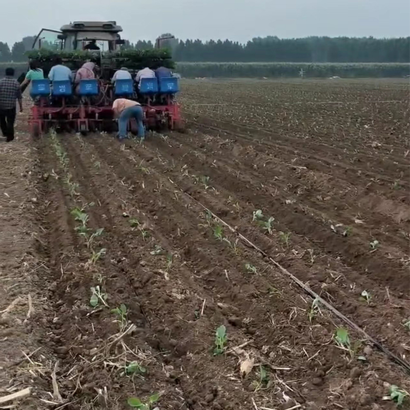 Summer beach concept