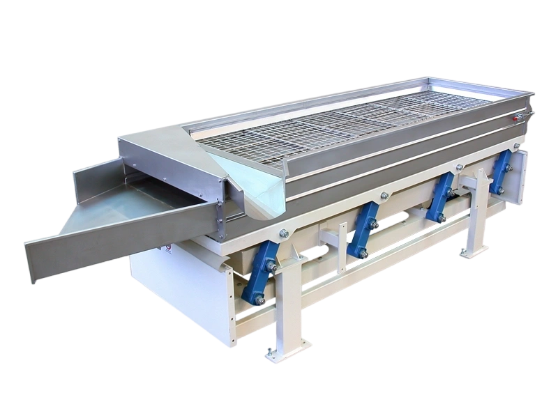 Summer beach concept