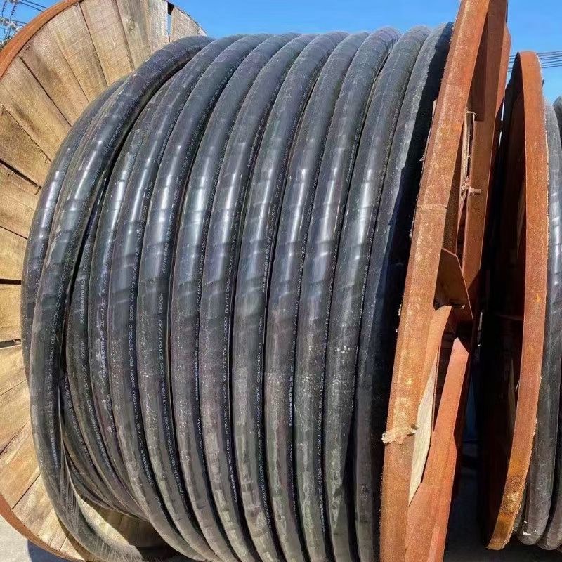 微信图片_20230819115532