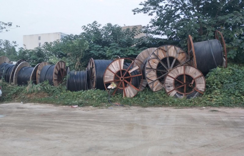 微信图片_20230819124125