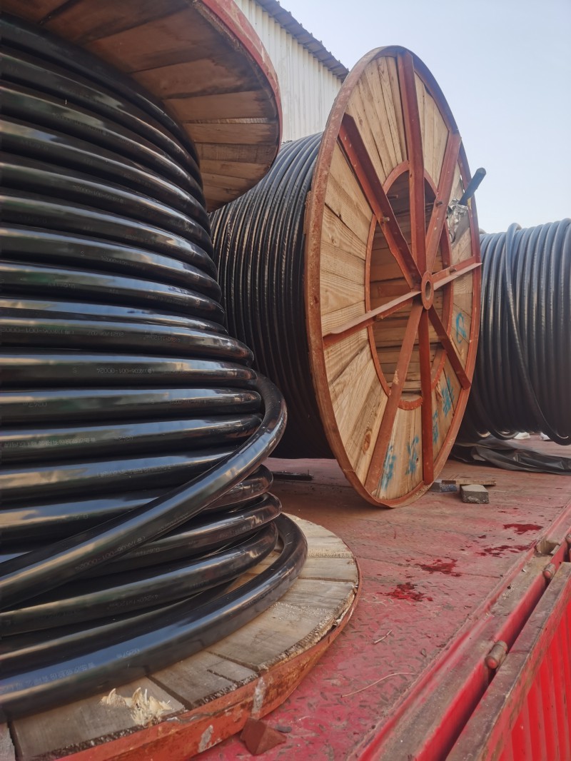 微信图片_20230819124137