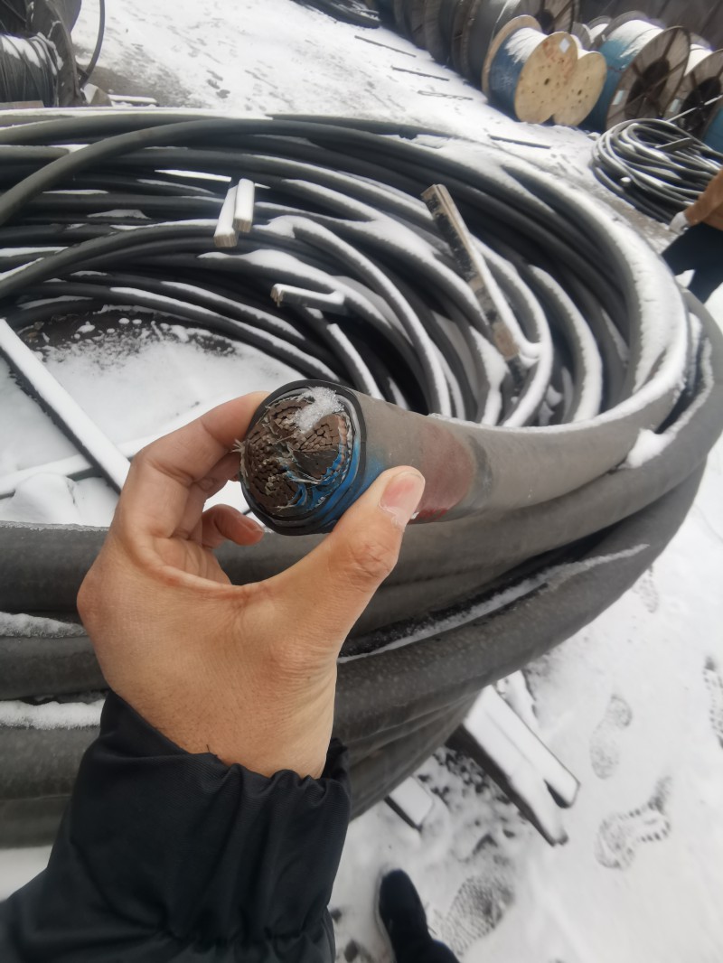 微信图片_20230819124134