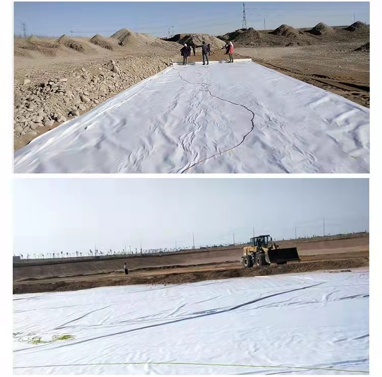 Summer beach concept