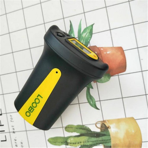 Summer beach concept