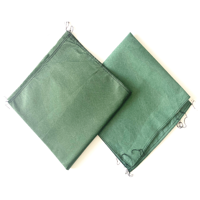 Summer beach concept