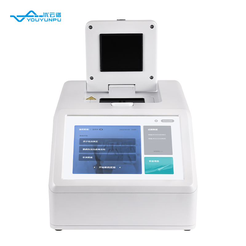 Summer beach concept