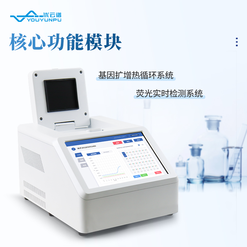 Summer beach concept