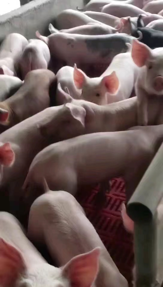 微信图片_20230829103553_1