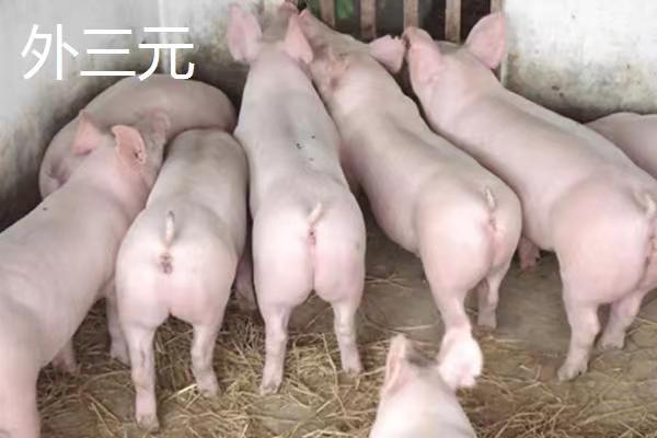 微信图片_20230829103556_3