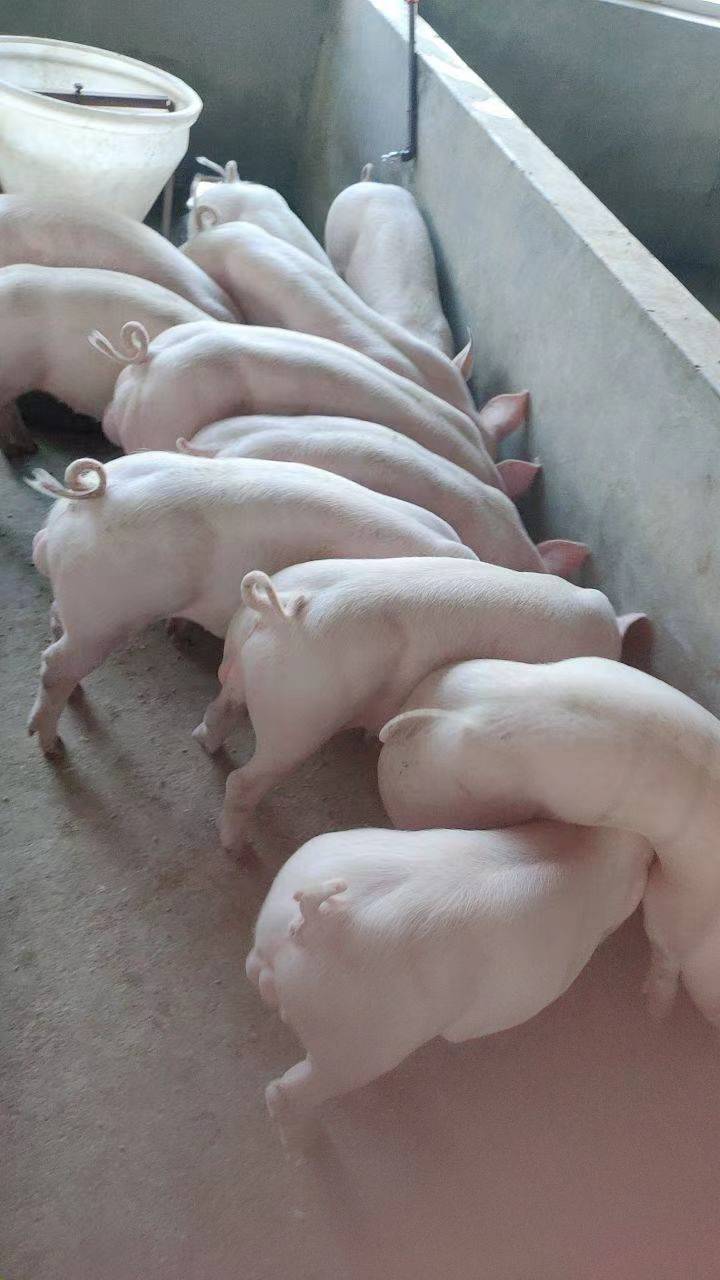 微信图片_20230829103558_2