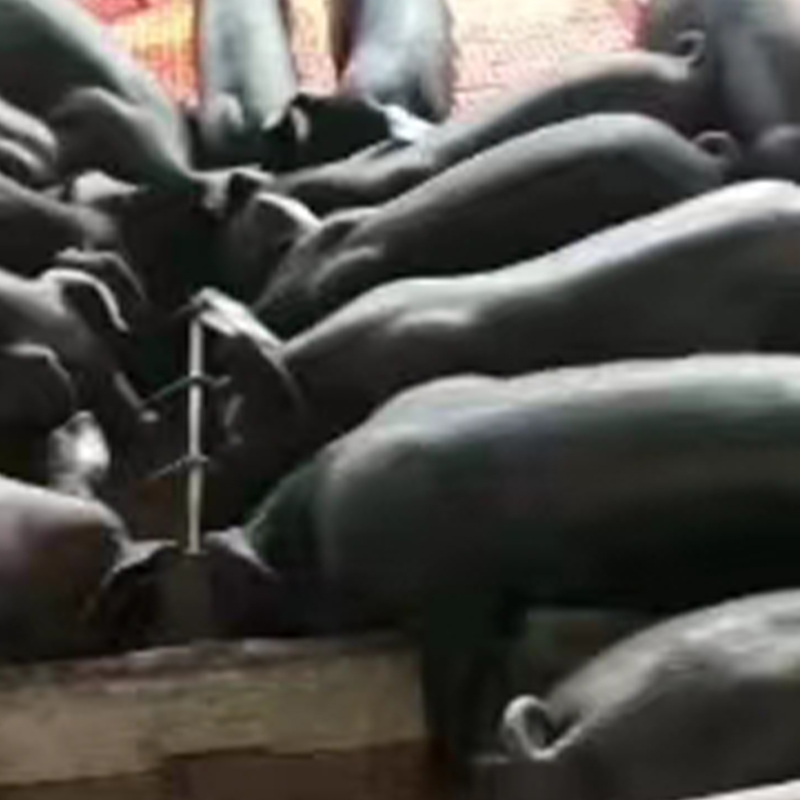 Summer beach concept