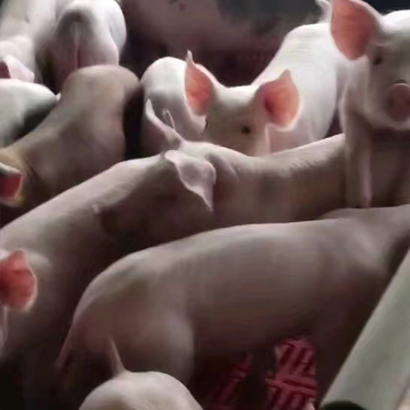 Summer beach concept