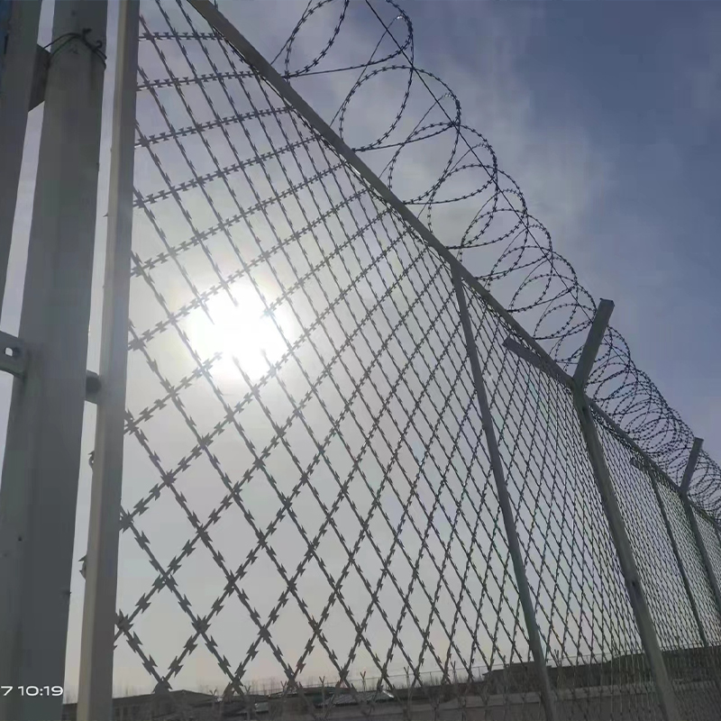 Summer beach concept