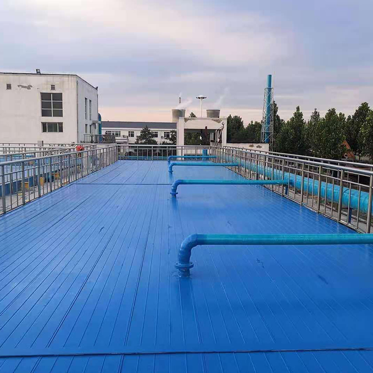 Summer beach concept