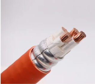 Summer beach concept