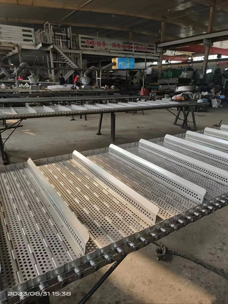 Summer beach concept