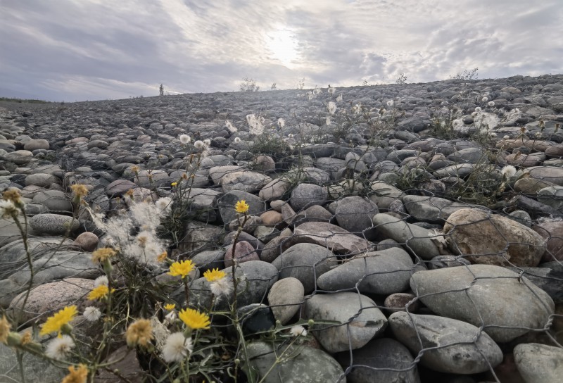 Summer beach concept
