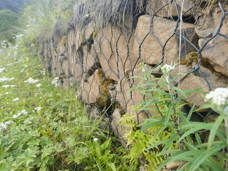 Summer beach concept