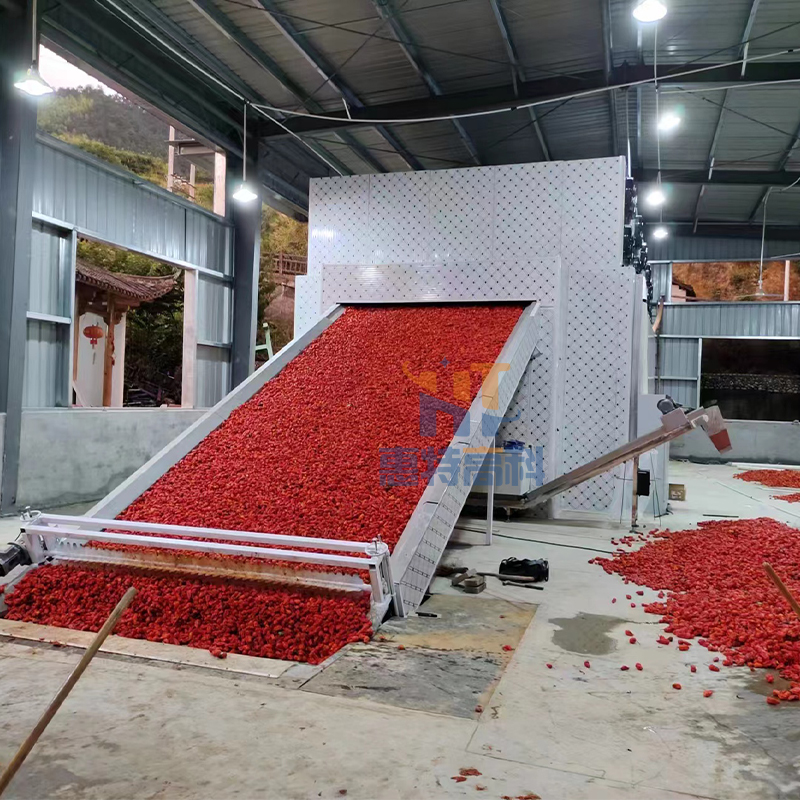 Summer beach concept