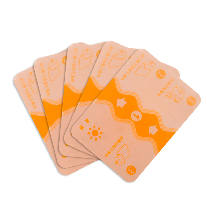 Summer beach concept