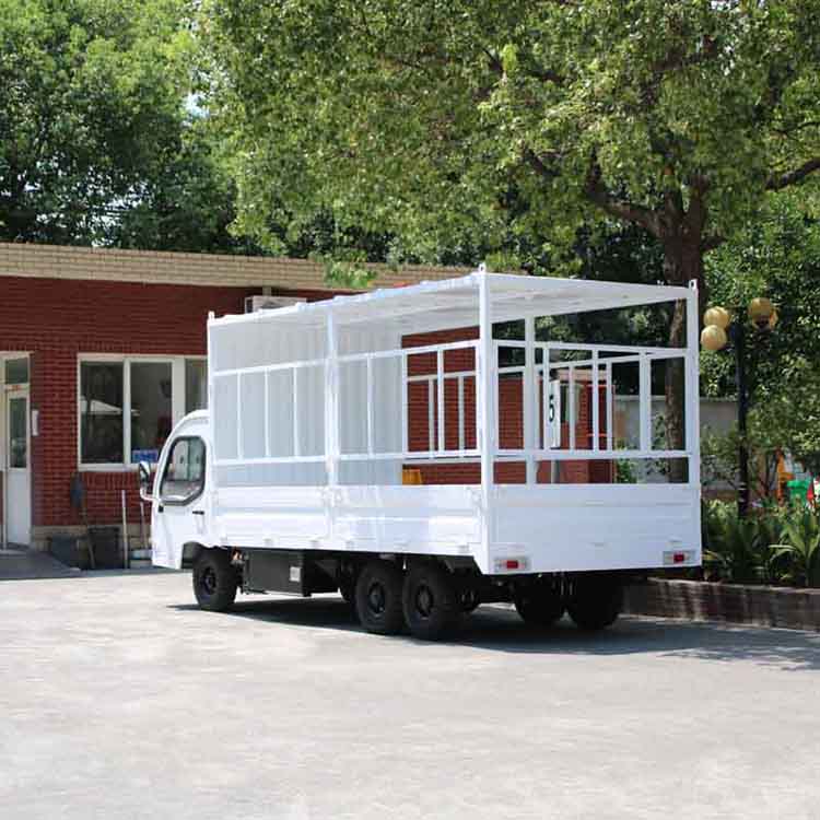 Summer beach concept