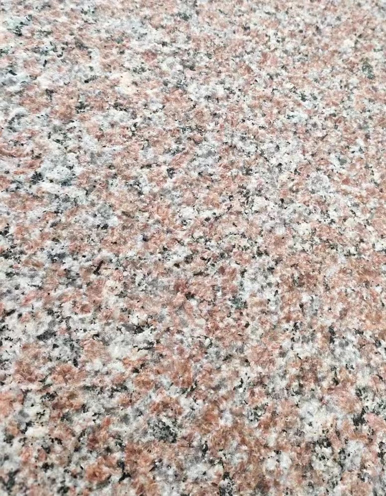 Summer beach concept