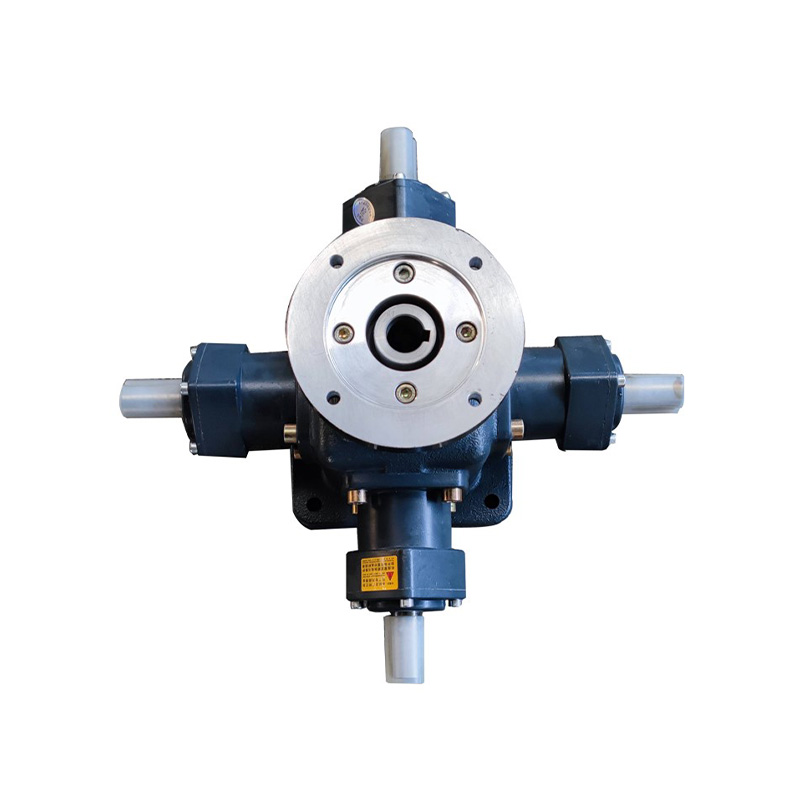 Summer beach concept