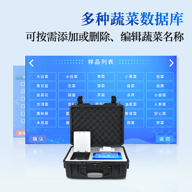 Summer beach concept